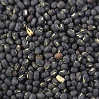 Blackgram - Sanjay Acharya.jpg