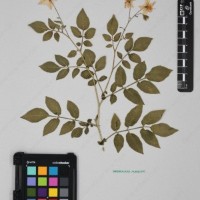 CIP 760236_HHCH 4422_07.jpg