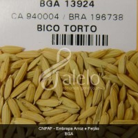 BRA00011222-7.JPG