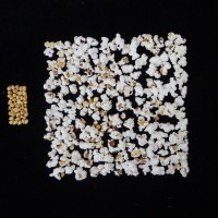 Popped and not popped comparison.JPG