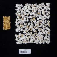 Popped and not popped comparison labeled.jpg