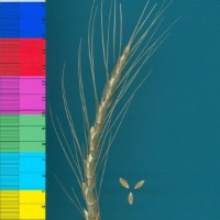CWI17959_52594_116.jpg