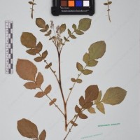 CIP 760010_OCH S21_04.jpg