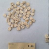 CIMMYTMA 2146 - Reference Inventory.jpg