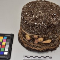 CIP765958_RPSP 282_Tb.JPG