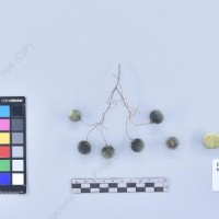 CIP 765722_RPSP 034_acs_B_2024.jpg