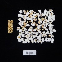 Popped and not popped comparison labeled.jpg