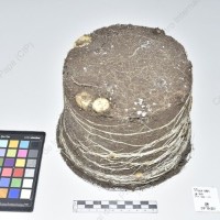 CIP 761021_OCH 13861_buk_Tb_2024.jpg