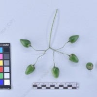 CIP 761104_FB 5080_cmm_B_2024.jpg