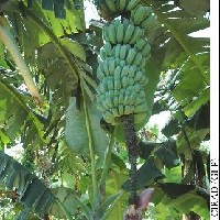 6.4.6 - Bunch position