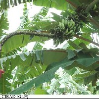 6.4.6 - Bunch position