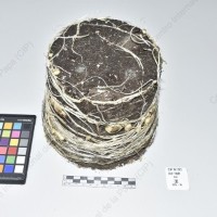 CIP 761723_OCH 13681_buk_Tb_2024.jpg