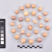 CIP 761318_OCHS 11873_buk_T_2024.jpg