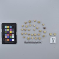 CIP765729_RPSP 044_T.JPG