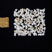 Popped and not popped comparison.jpg