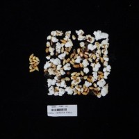 Popped and not popped comparison labeled.jpg