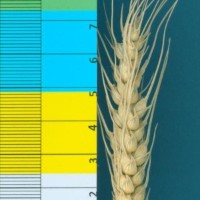 CWI52946_52647_246.jpg