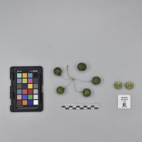 CIP760459_HHA 6616_B.JPG