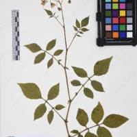 CIP 761395_OCH 12016_03.jpg