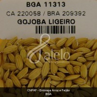 BRA00008648-8.JPG