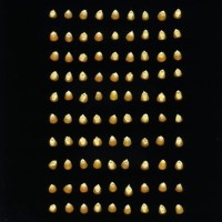 CIMMYTMA 4923 BRAZ 2028 AF20A-0903-12 K.jpg