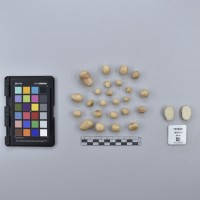 CIP765699_RPSP 011_T.JPG