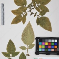 CIP 760469_HHA 6657_04.jpg