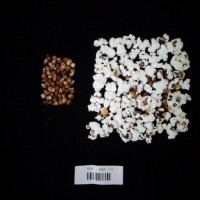 Popped and not popped comparison labeled.jpg