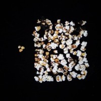 Popped and not popped comparison.jpg