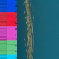 CWI17897_52594_80.jpg
