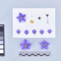 CIP 761318_OCHS 11873_buk_F_2024.jpg