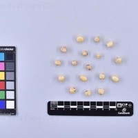 CIP 761372_OCH 11971_opl_T.jpg