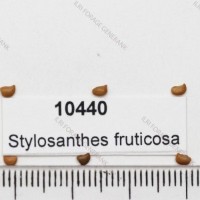 10440.jpg