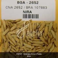 BRA00001726-9.JPG
