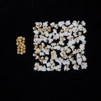 Popped and not popped comparison.jpg