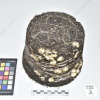 CIP 761097_FB 4025C50.1_cmm_Tb_2024.jpg