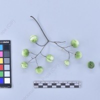 CIP 760655_TARN 241d_cph_B_2024.jpg