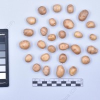 CIP 761422_OCHS 12055_mtp_T_2024.jpg