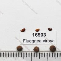 16903.jpg