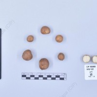 CIP 765999_RPSP 322_gzm_T_2024.jpg