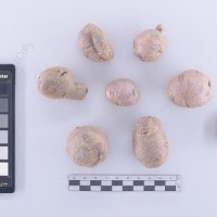 CIP 765762_RPSP 084_yun_T_2024.jpg