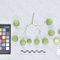 CIP 760016 (2)_B.jpg