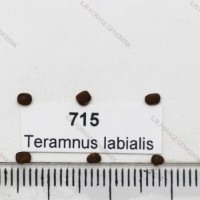 715.jpg