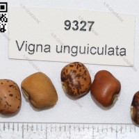 9327.jpg