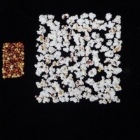 Popped and not popped comparison.jpg