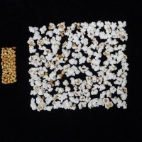 Popped and not popped comparison.jpg