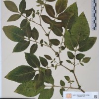 CIP 760424_HHA 6450_03.jpg