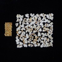 Popped and not popped comparison.jpg