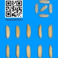 WAB0007833.jpg