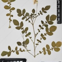 CIP 760367_HHCH 5082_01.jpg